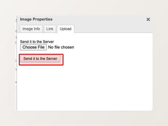 Image Properties dialog showing the Upload tab with Send it to the Server button highlighted