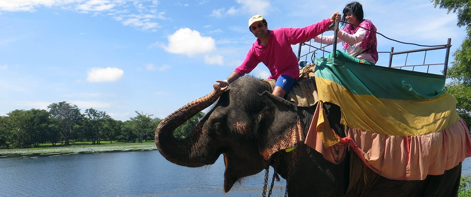 Travellers making their way around Sri Lanka on and elephant - AoBT