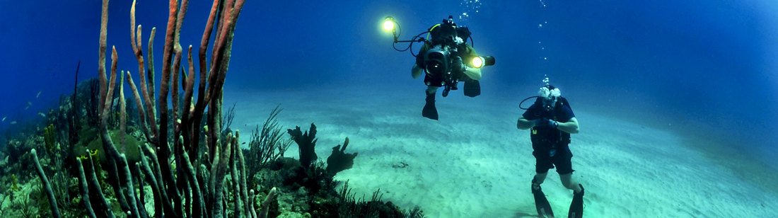 scuba diving